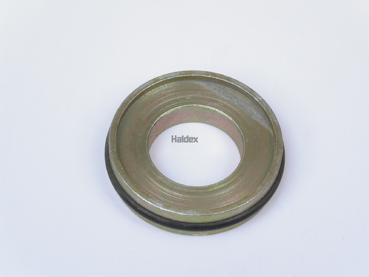 Haldex | 80019D